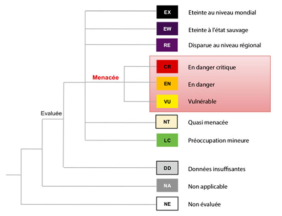 Cotation des menaces pesant sur les characées