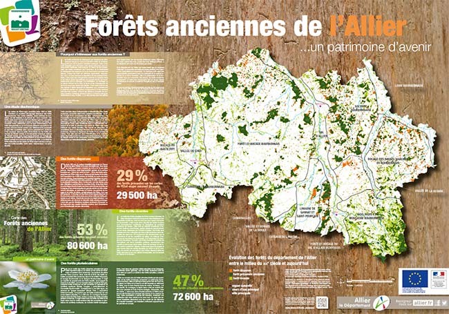 Carte des forêts anciennes de l'Allier