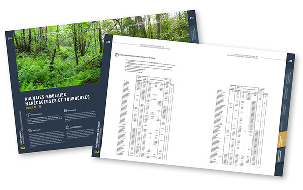 Aperçu du catalogue des végétations forestières du Massif central