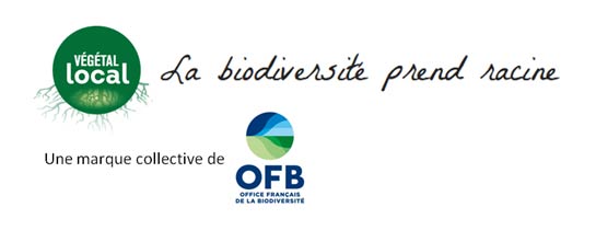 Logo Végétal Local / OFB