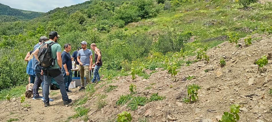 Illustration des démarches de préservation de la biodiversité dans les vignes