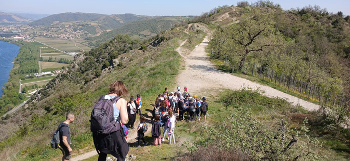 Sortie scolaire autour de l’Alysson du Rhône au belvédère de Pierre Aiguille