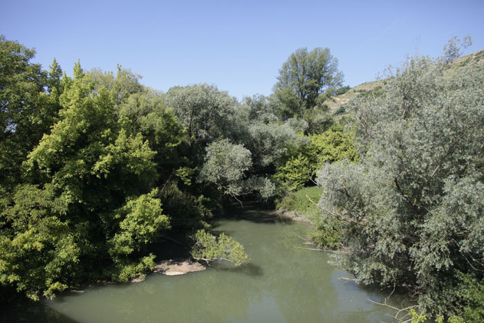 Forêt alluviale