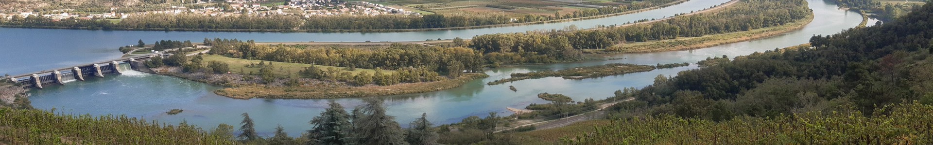 Forêts menacées