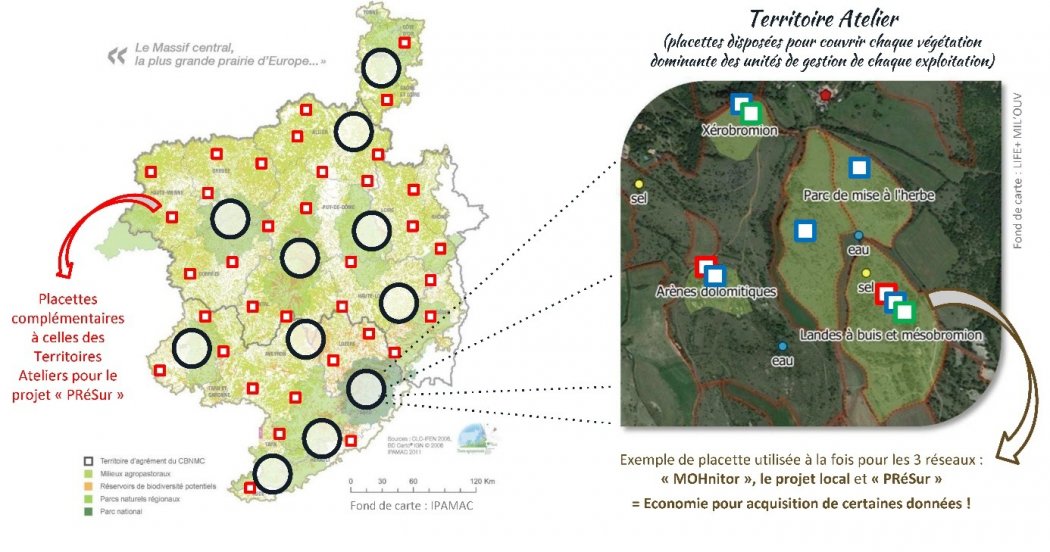 OPMC : un observatoire des végétations herbacées agropastorales du Massif central