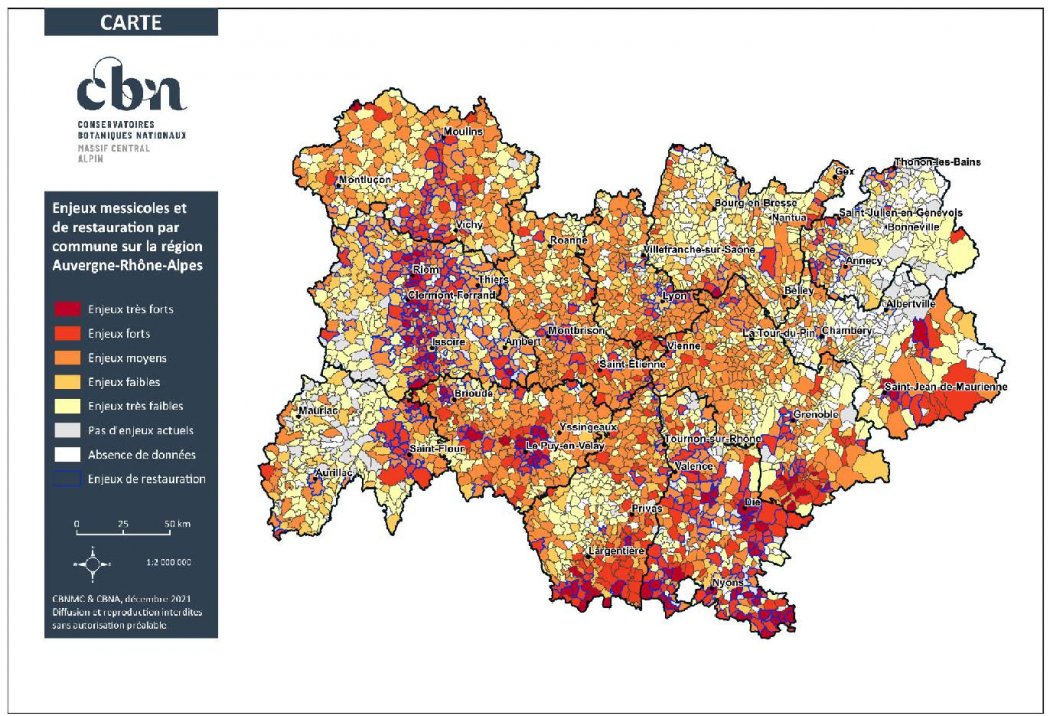 Carte des enjeux messicoles et de restauration par commune sur la région AURA
