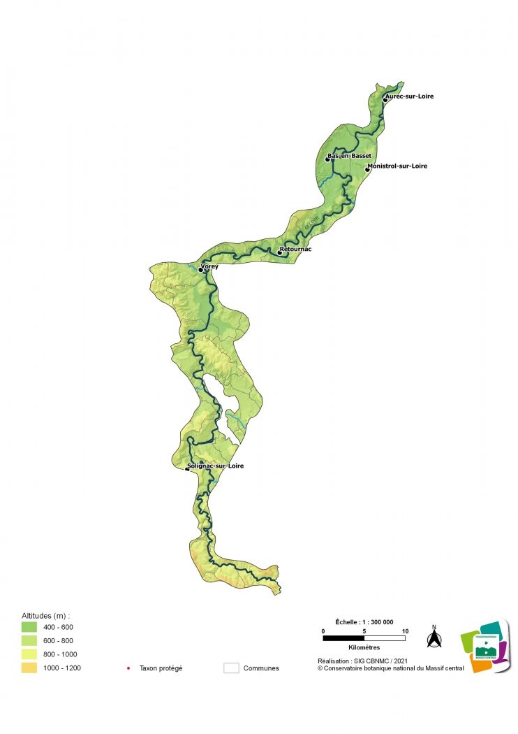 Taxons indigènes protégés de la Vallée et gorges de la Haute-Loire