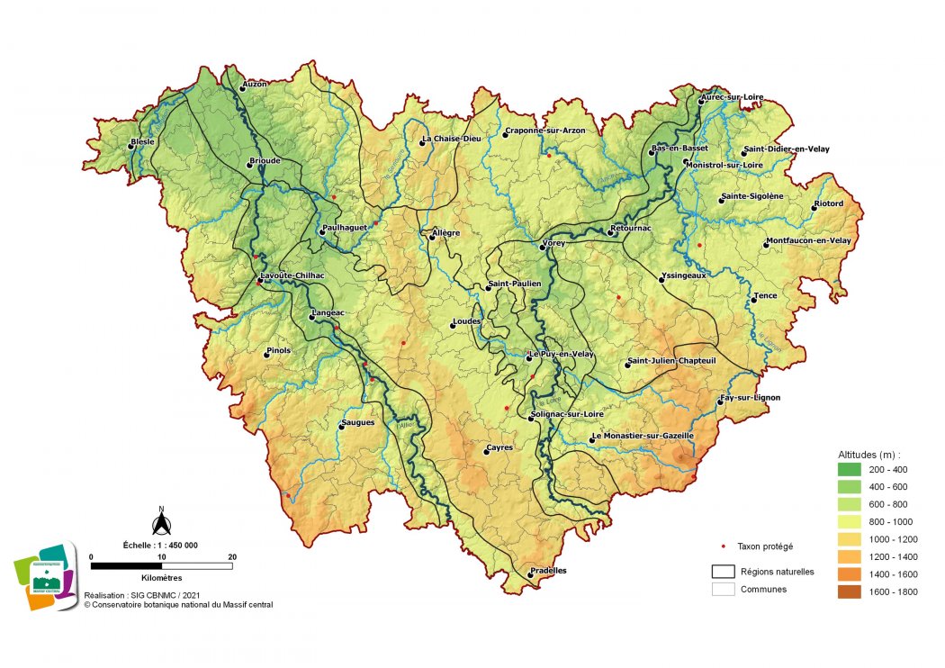 Taxons indigènes protégés de la Haute-Loire