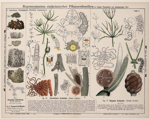 Illustration de la production de publications scientifiques et de guides techniques