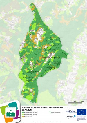 Couvert forestier - Ailhon