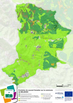 Couvert forestier - Malbosc