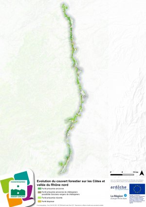Couvert forestier - Côtes du Rhône nord