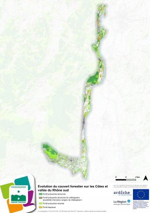 Couvert forestier - Côtes du Rhône sud