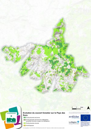 Couvert forestier - Sucs
