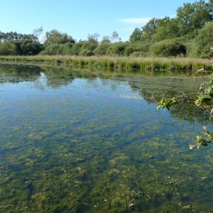 Etang Procureur Arthun